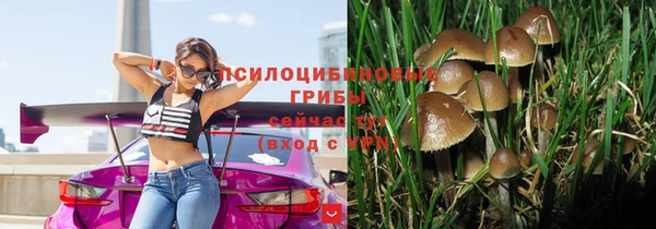 герыч Алексеевка